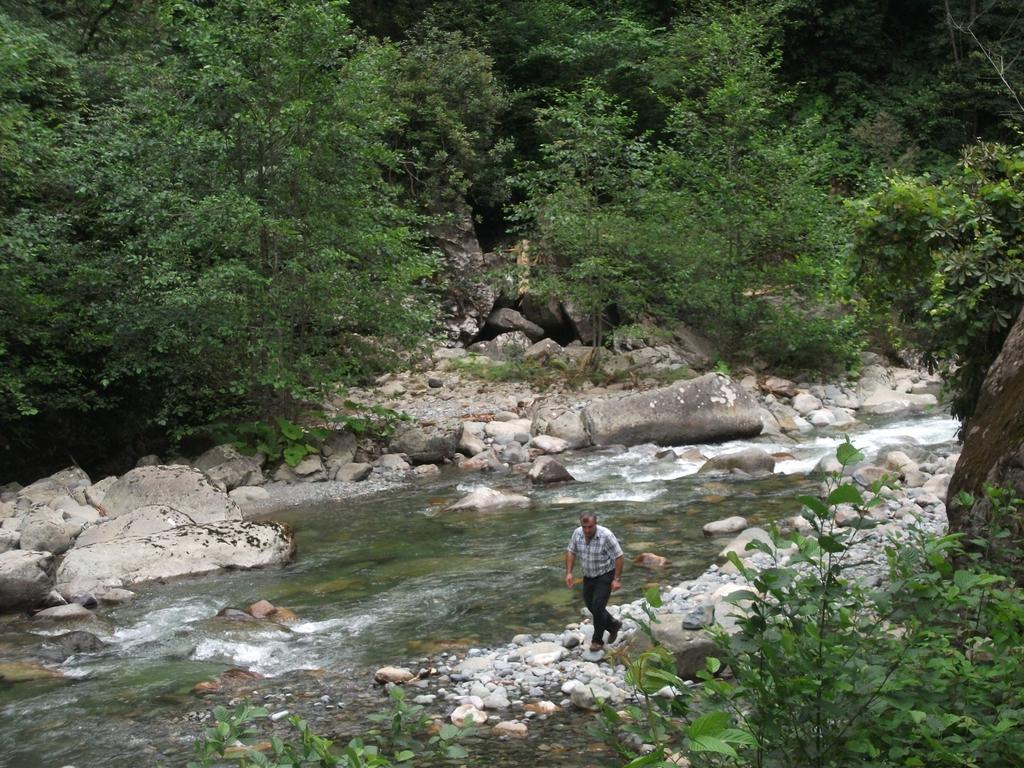 Mencuna Konaklari Arhavi Εξωτερικό φωτογραφία